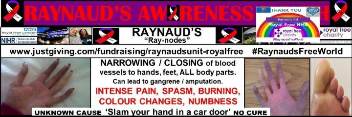 RaynaudsRF banner