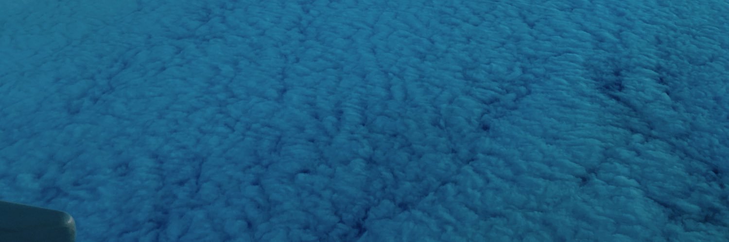 chelsmarcell's profile banner image