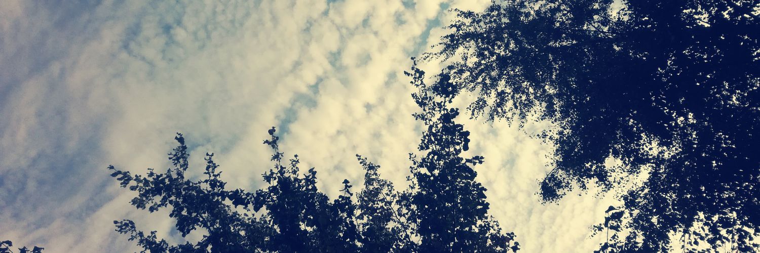 SegoChataing's profile banner image