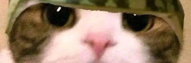 met4morph's profile banner image