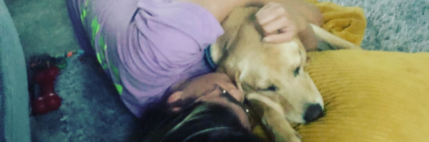 kaylimck's profile banner image