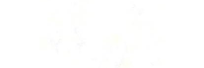 12345_mrn's profile banner image