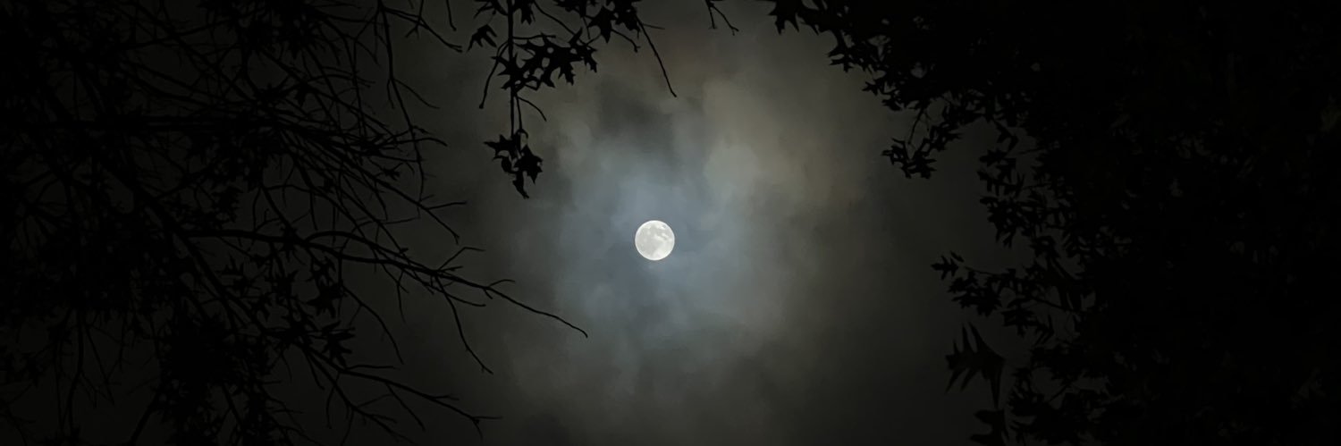 ohwells111's profile banner image
