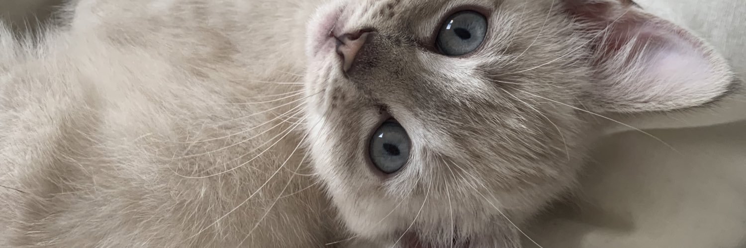 webamel's profile banner image