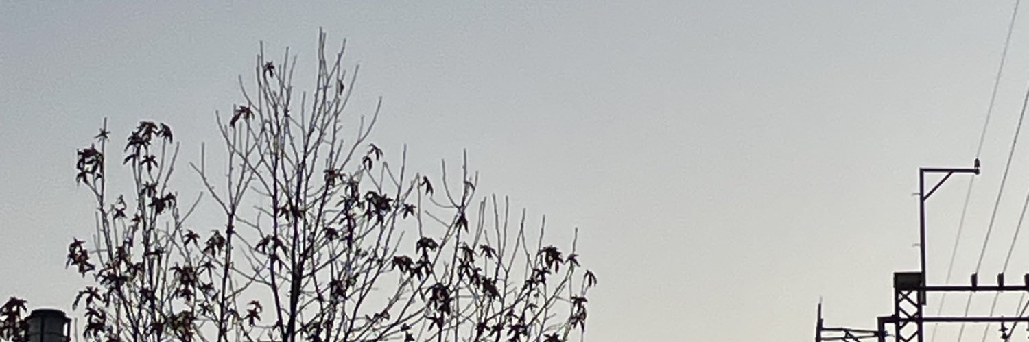 Minori banner