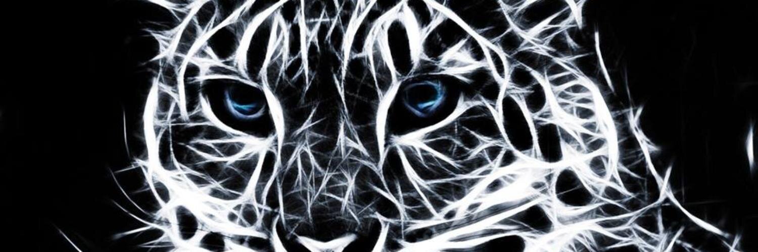 philippe_accroc's profile banner image