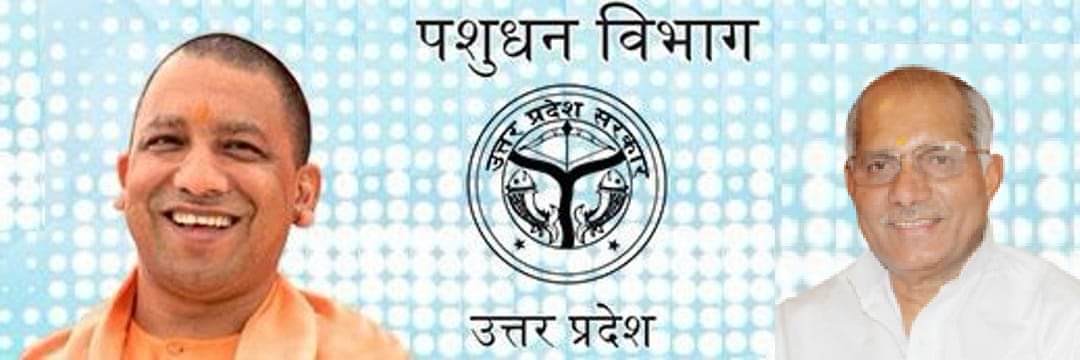 Department of AHUP banner