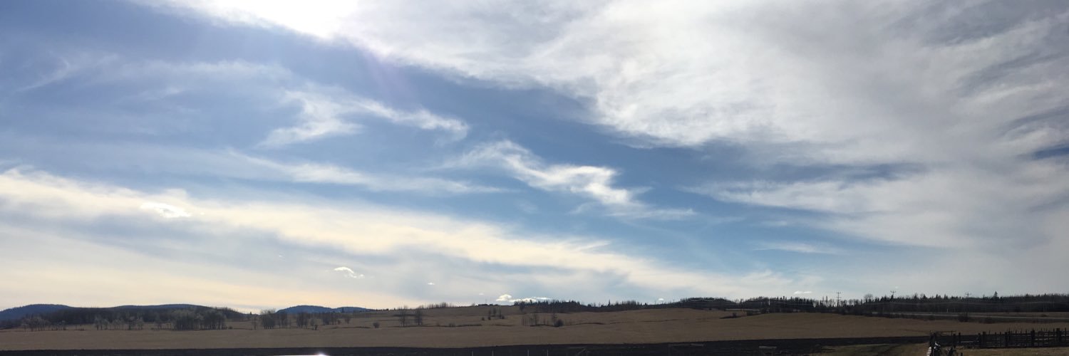 aniamedrek's profile banner image