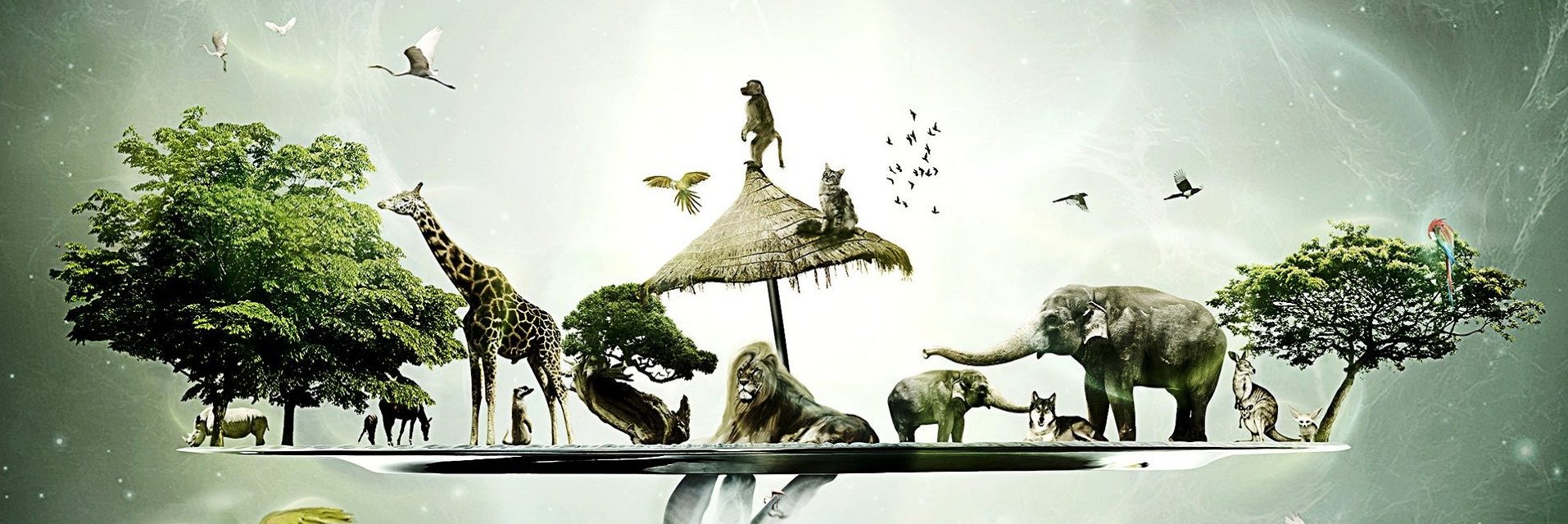 pagegraphy_info's profile banner image