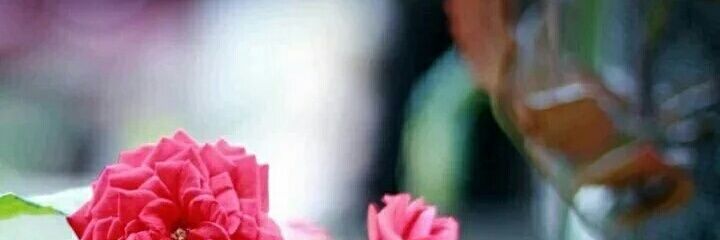 m__ma3's profile banner image