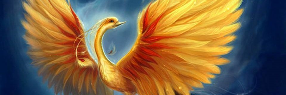 PhoenixCDP2017🕊️💙💛🕊️CRAJ2026🐭🐹 banner