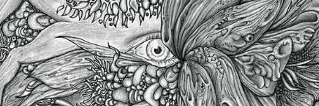 helixPierce's profile banner image