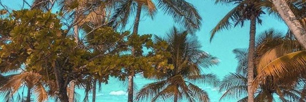 danieel_ofc's profile banner image