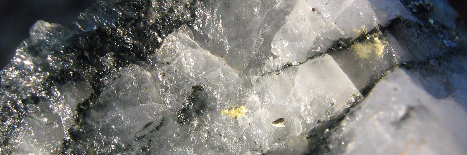 opusonegold's profile banner image