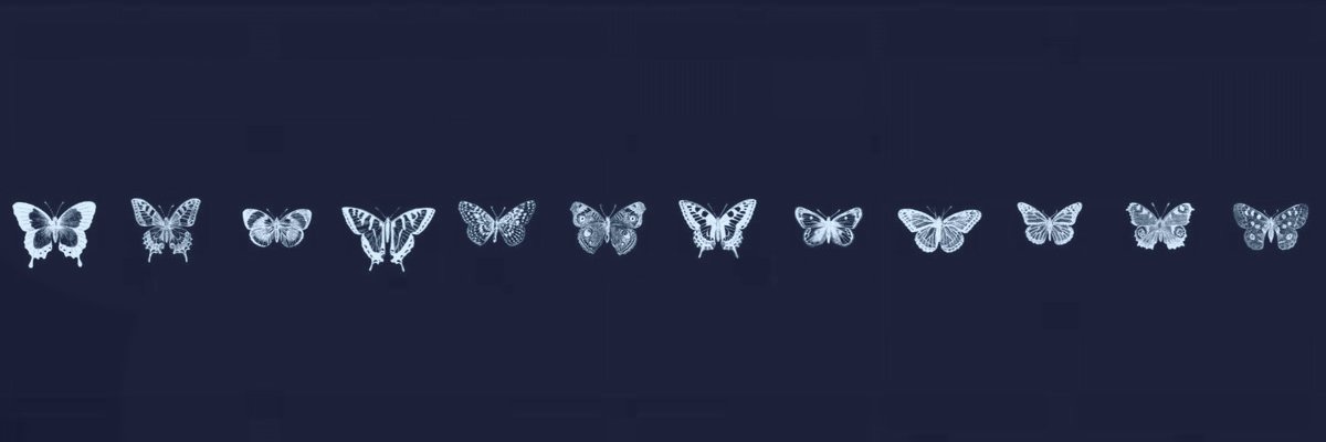 rolyTsl's profile banner image