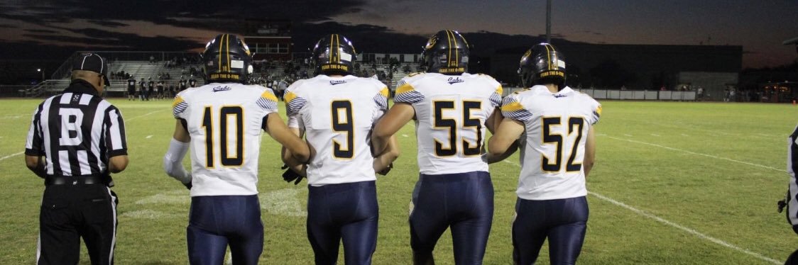 Flowing Wells Football banner