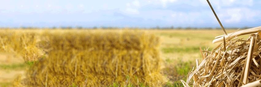 Haystack Project banner