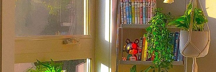 ratchanaree's profile banner image