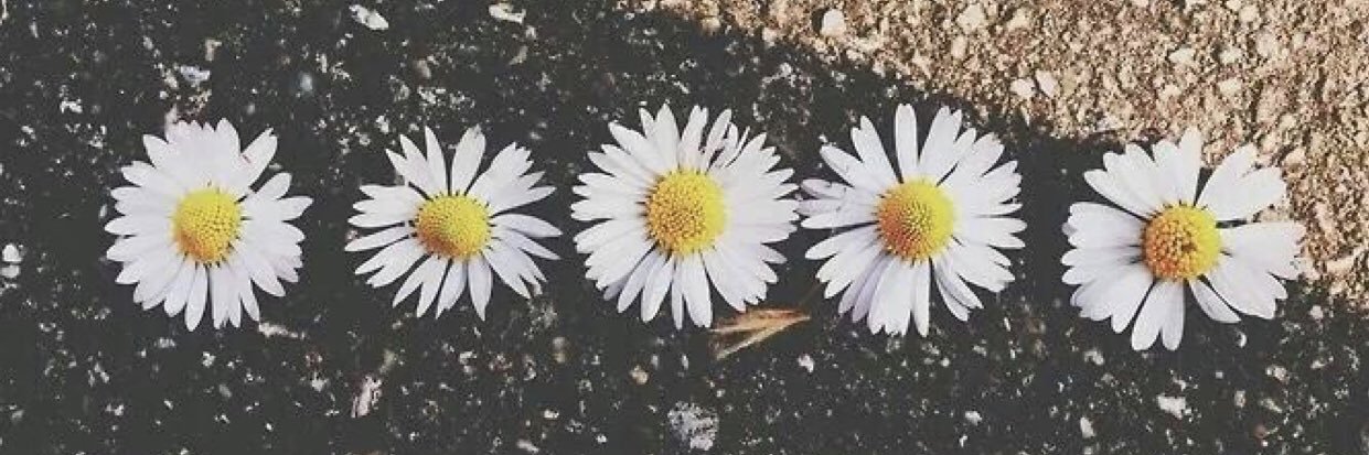 trisjay42's profile banner image