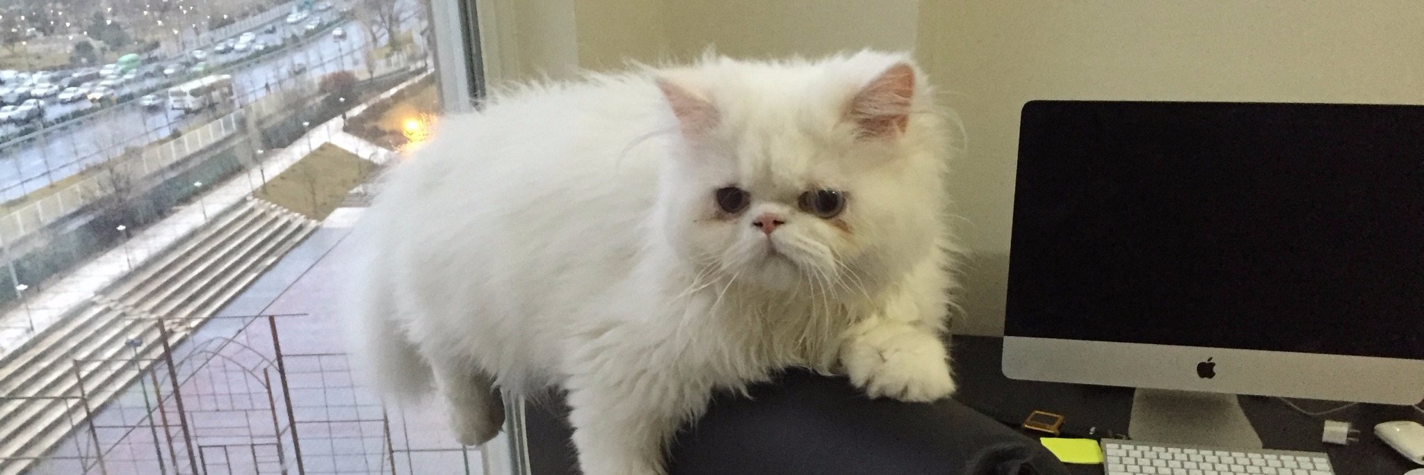 Amir Mostakin banner