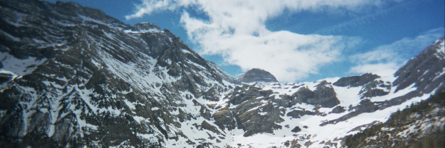 Esteve banner