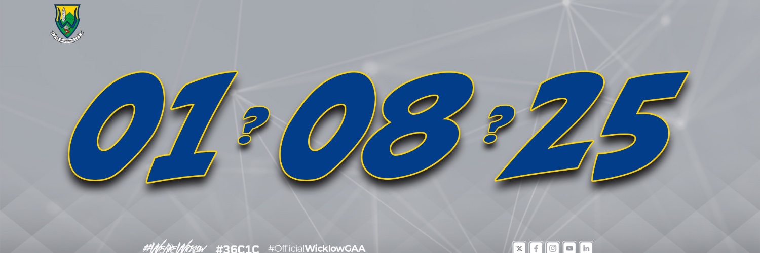 Official Wicklow GAA's banner