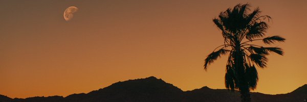 Fortefitography Profile Banner