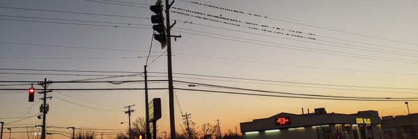 wasprobot Profile Banner