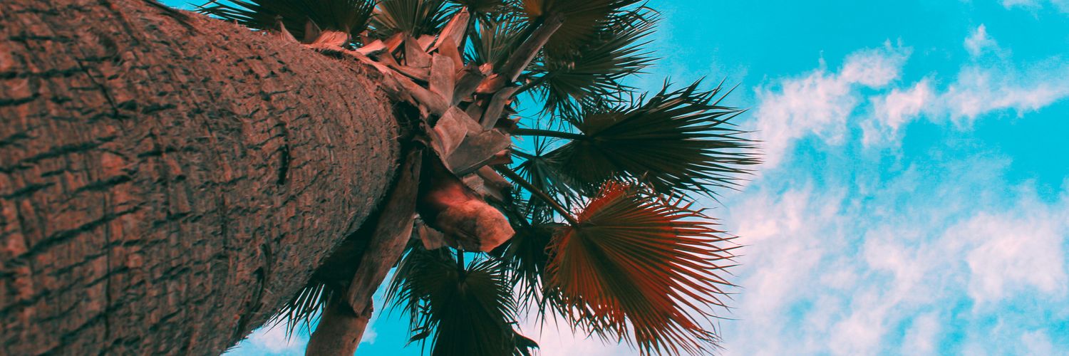bigit_bigel's profile banner image