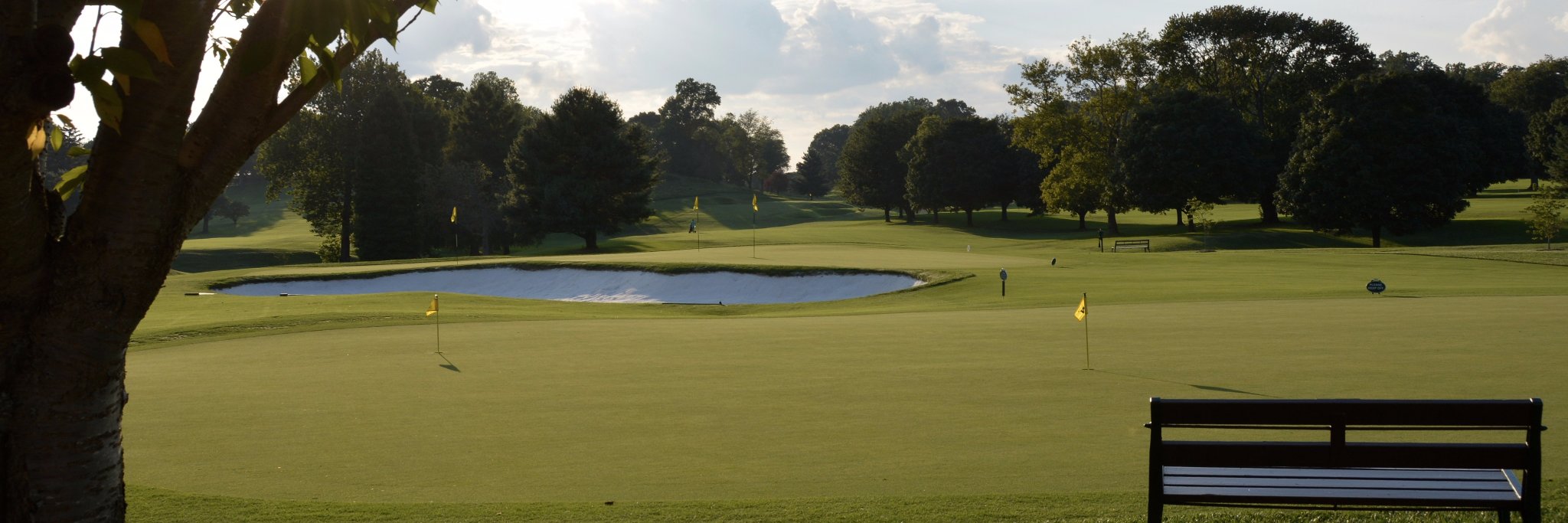 Naval Academy Golf banner