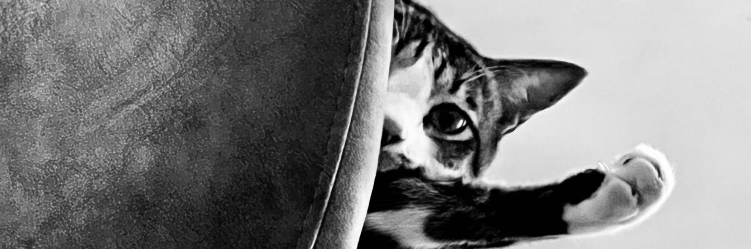 '(⊙▼⊙)' banner