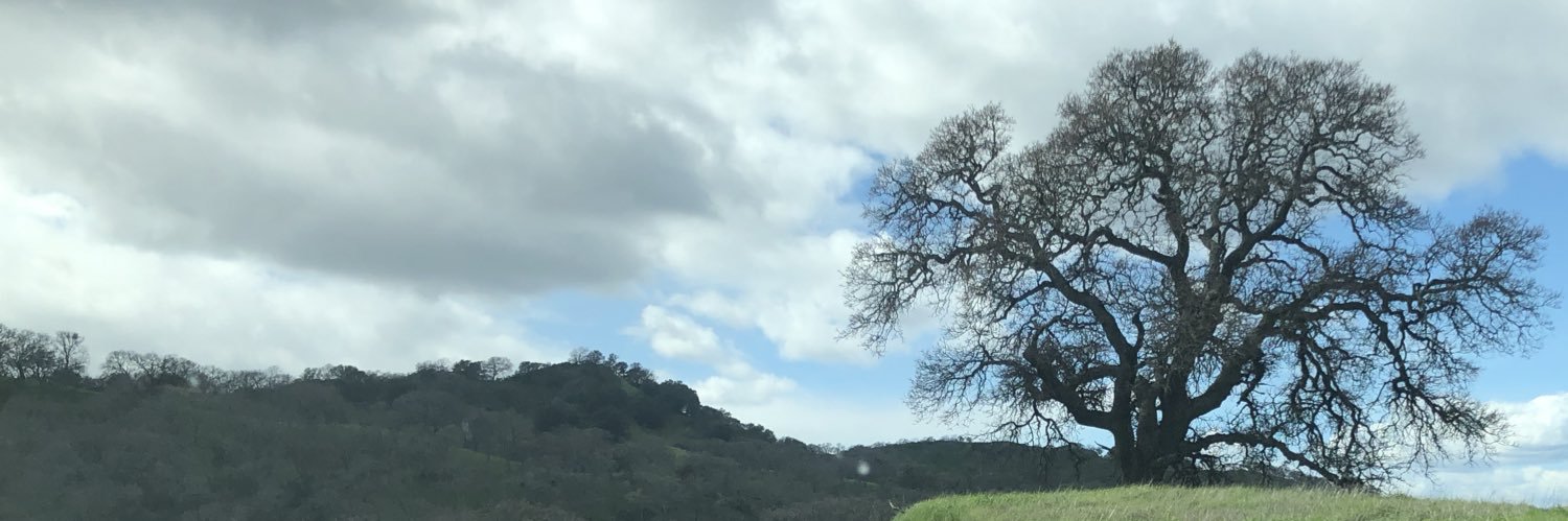 unprofitability's profile banner image
