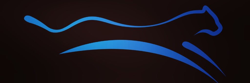 Real Speed Sports banner