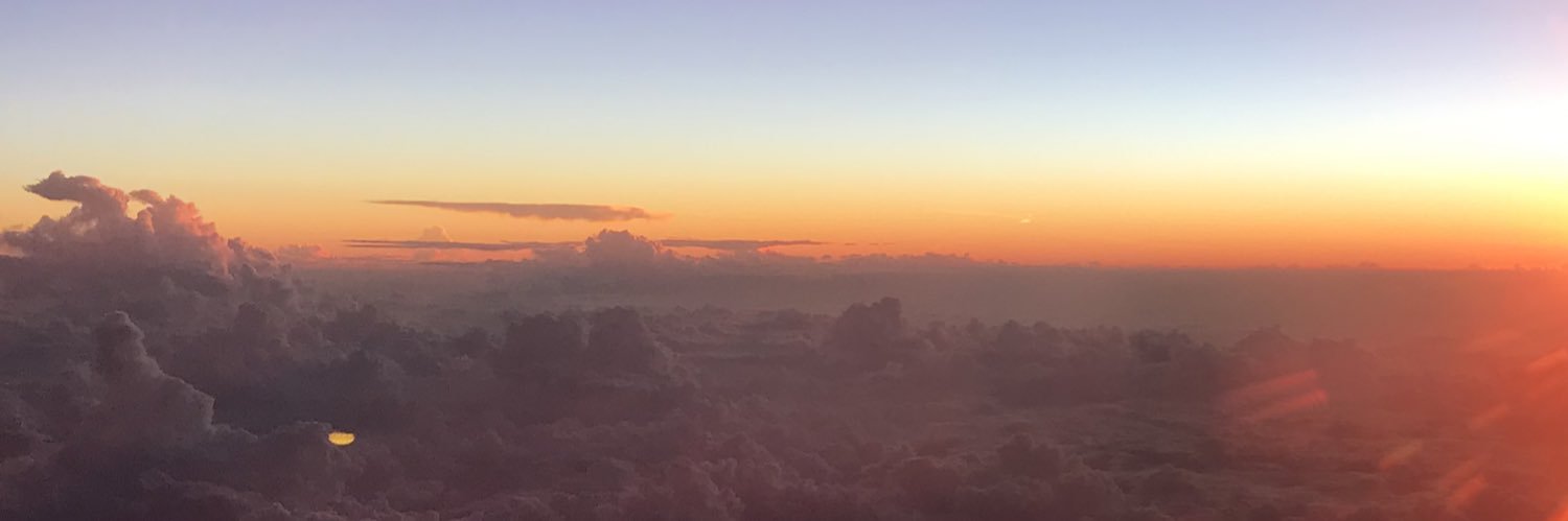 tay_las_'s profile banner image