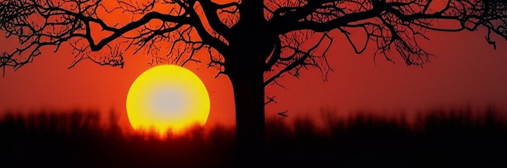 oertan02's profile banner image