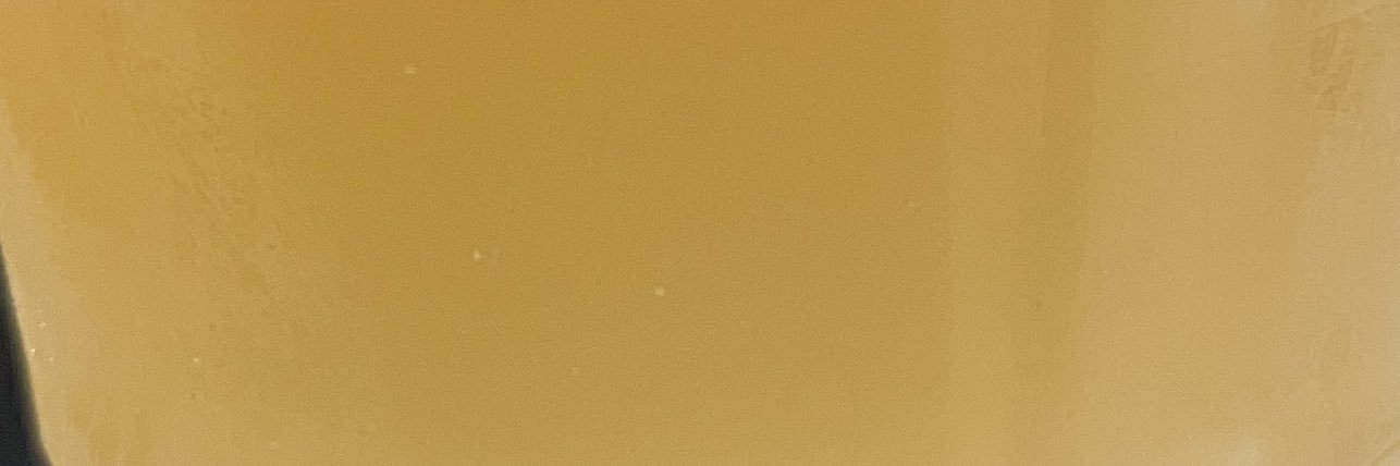 flaviomoreiraa's profile banner image