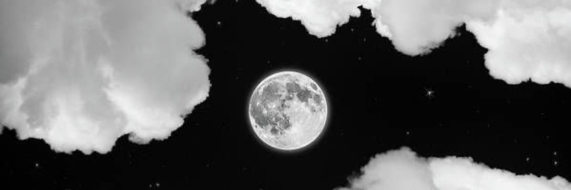 209yong's profile banner image