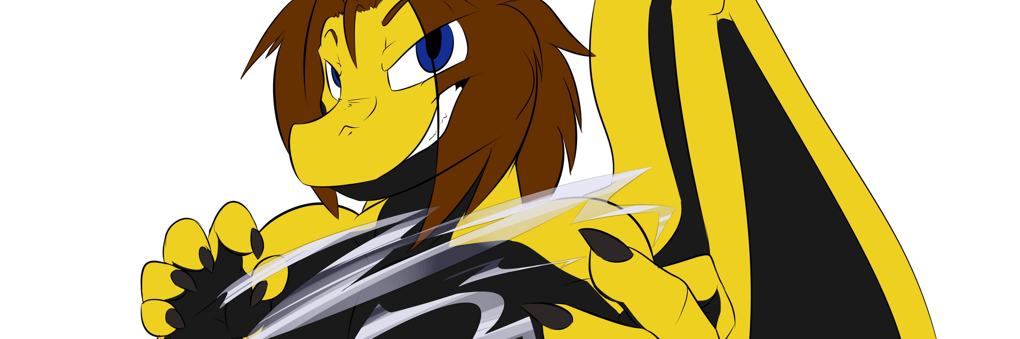 TyroThunderD's profile banner image