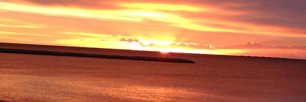 Silpana64 Profile Banner