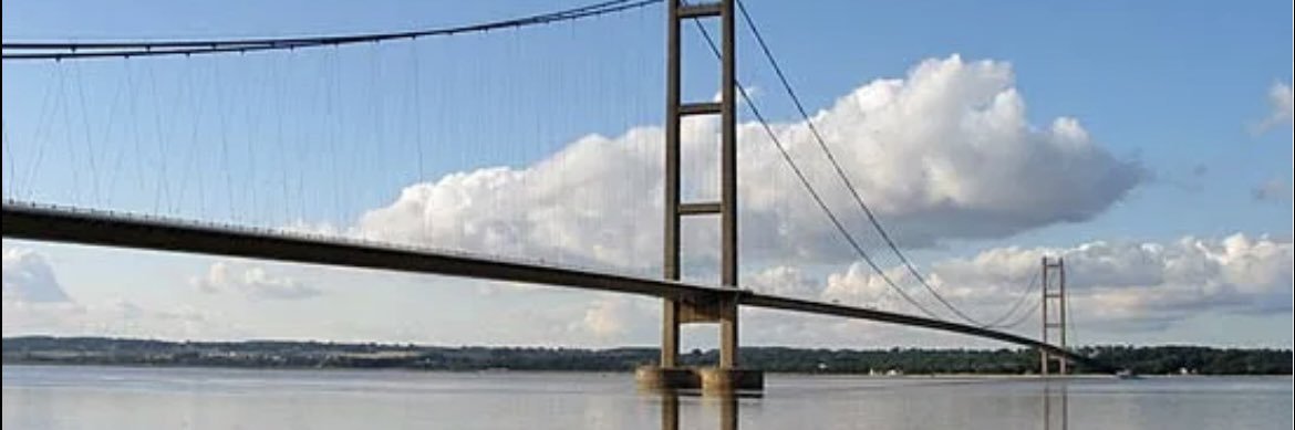 Tracy Campbell banner
