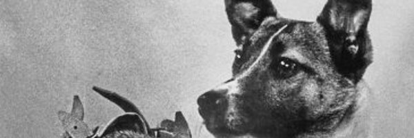 SimonBurns4 Profile Banner