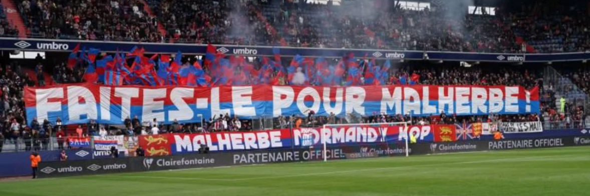 Alex banner