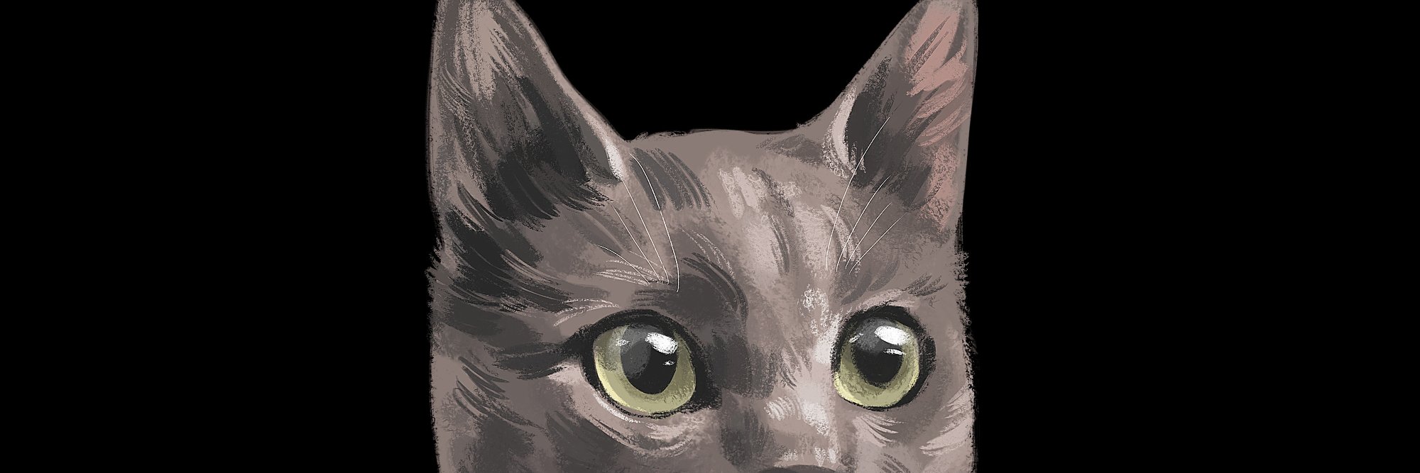 TalethP's profile banner image