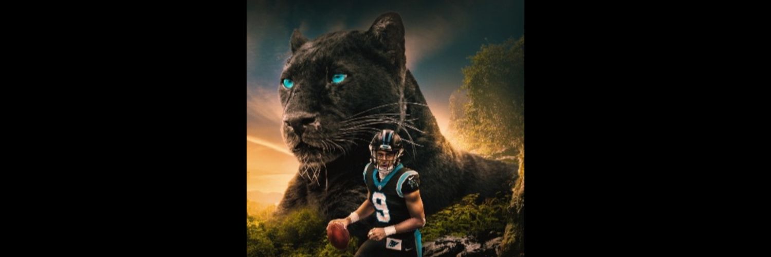 poundempanthers's profile banner image