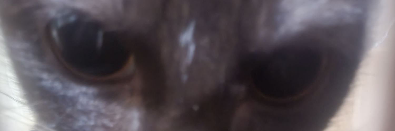 toxopholiteRow's profile banner image