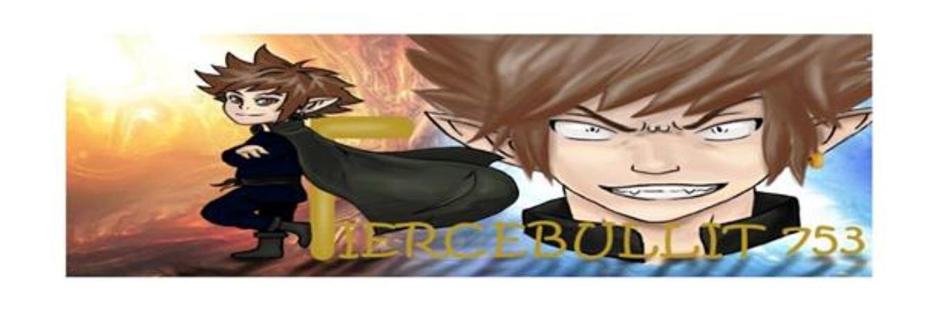 FierceBullit753's profile banner image
