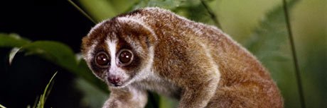 Soup or (Super) Sallad banner