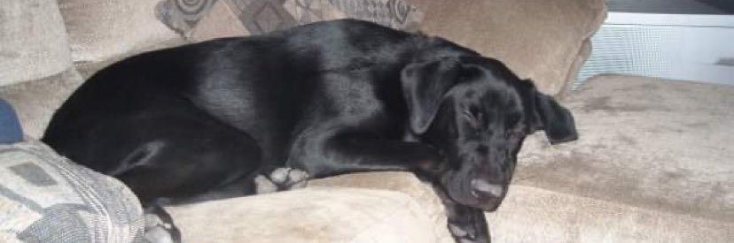 Alain Bard 🇨🇦 banner