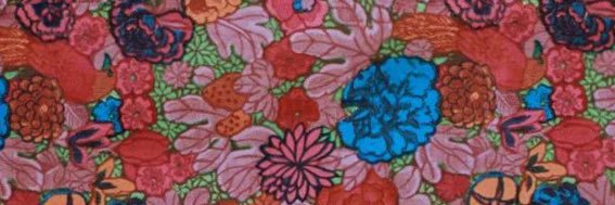 plantlauvr's profile banner image