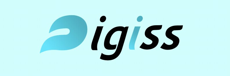 Digiss LLC's banner